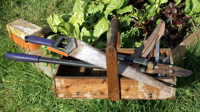 affutage-outil-jardin