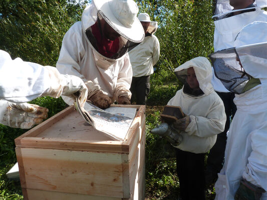 apiculture©cpievsl