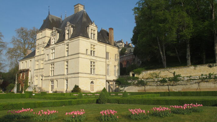PCU879000438 - chateau et tulipes 2