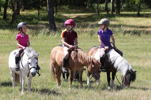 equitation-poney6-ffe-psv-reduite