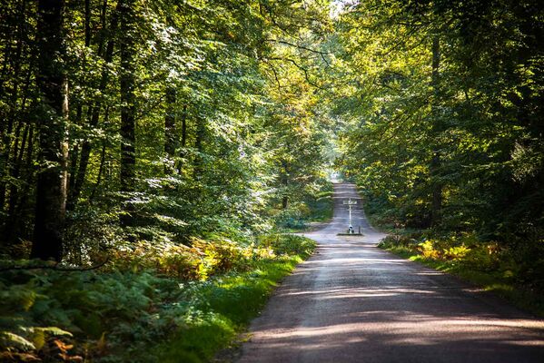foret-de-berce-sarthe-velo-route
