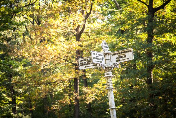 foret-de-berce-sarthe-jupilles