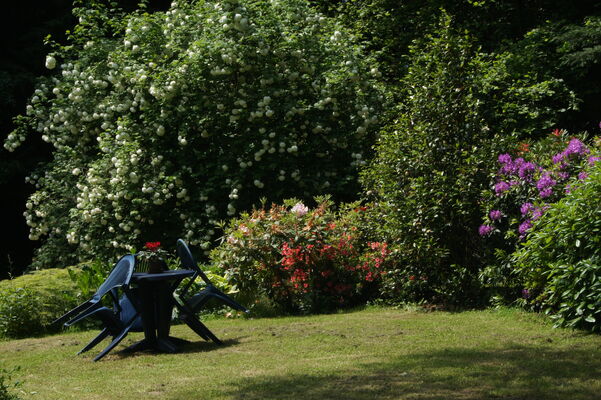 jardin