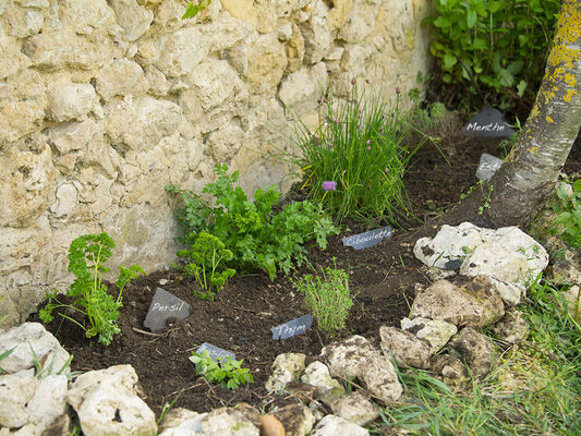 jardinsaveurs8475
