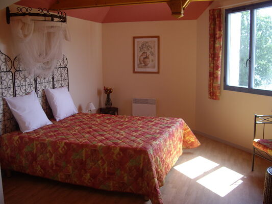 la_terrasse_des_oliviers_Mansigné_72_hcoll (1)