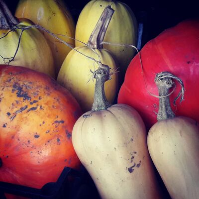 légumes d'hiver