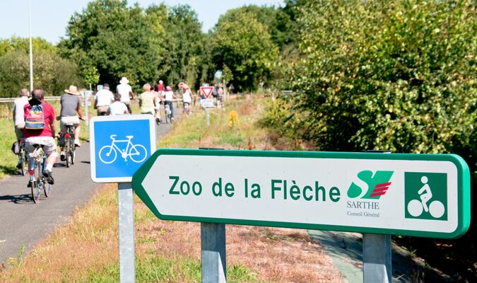 location vélo la Flèche_72_asc (5)