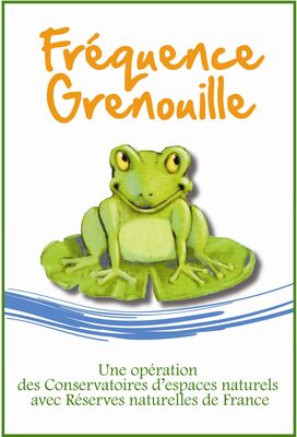 logo_frequence_grenouille_2013_hdef