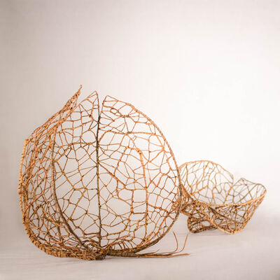 physalis 2