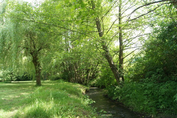 ruisseau