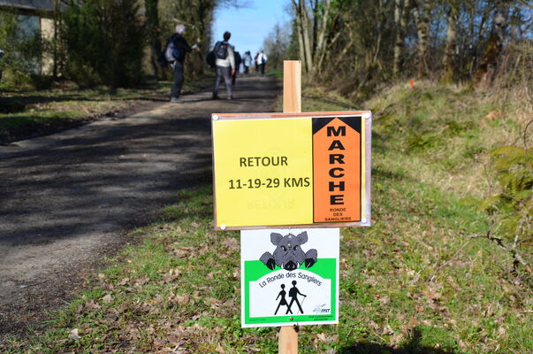 ronde-des-sangliers-2018-marche-anjou-maine-et-loire