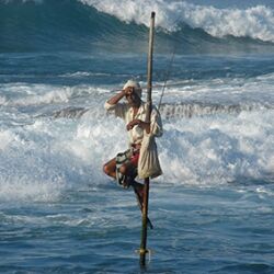 sri lanka pr site-14516066