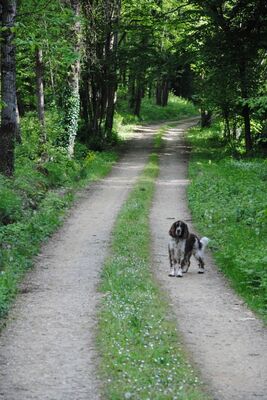 thumb_DSC_0923_1024