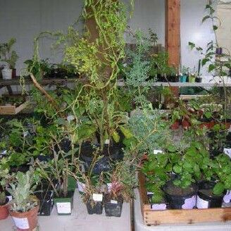 troc_plantes
