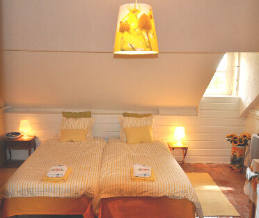 HLO49-vie-en-rose-2
