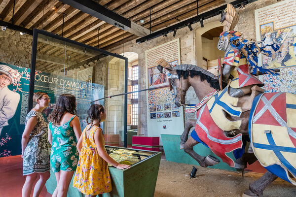 visite chateau de bauge-Web-photo©sebastien gaudard (3)