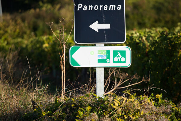 Le Vignoble de Jasnières