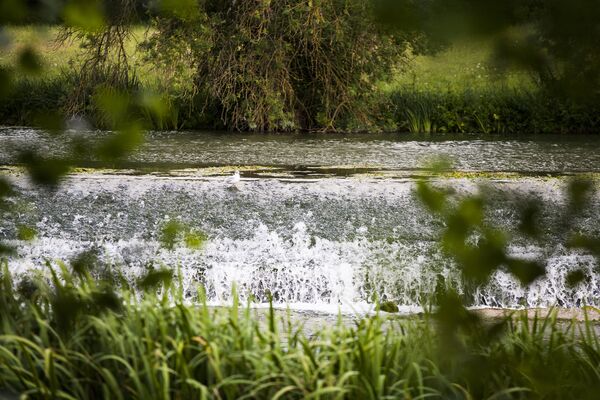PCU879000541 - _MG_8560