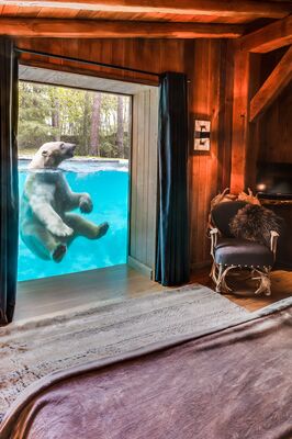2016-04-28 - ZOO DE LA FLECHE-86