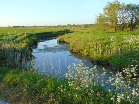 Marais doux3