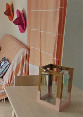 Marais salon - Copie (2)