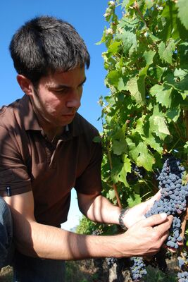 Mathieu Coirier degustation