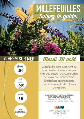 Millefeuille-BRM20aout