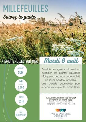 Millefeuilles-BRT6aout