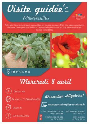 Modèle_affiche_VG2020