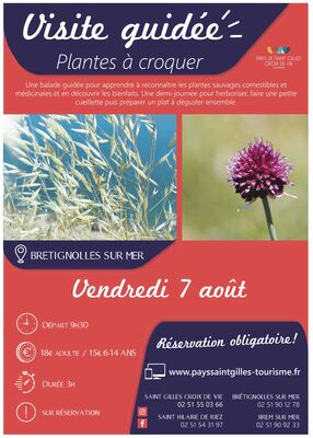 Modèle_affiche_VG2020
