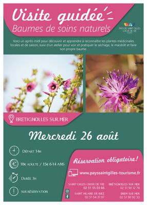 Modèle_affiche_VG2020