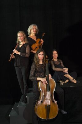 Amarillis@Raphaël Gaillarde