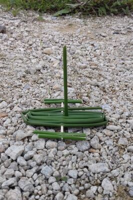 CD85-bateau-jonc