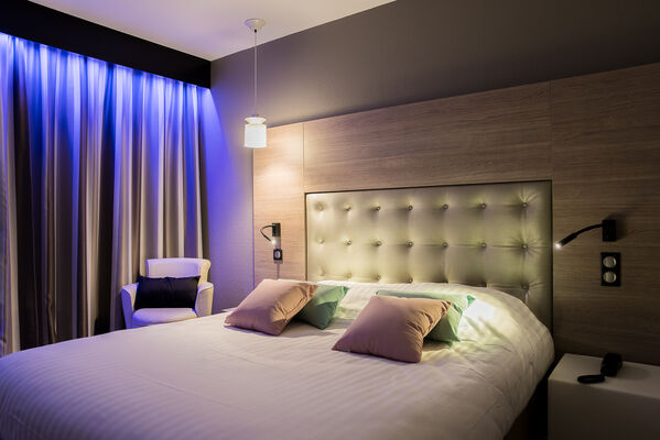 CHAMBRE CLUB HOTEL LE RABELAIS
