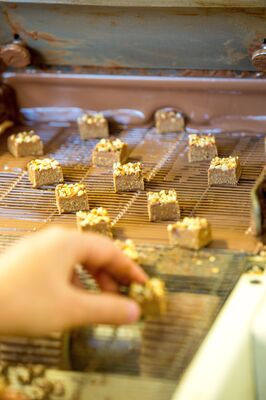 Copyright_S.Bourcier_Vendee_Expansion_MuseeDuChocolat_LaRocheSurYon_11