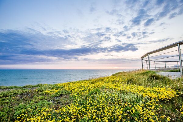 Corniche - SAINT HILAIRE DE RIEZ ©Simon Bourcier