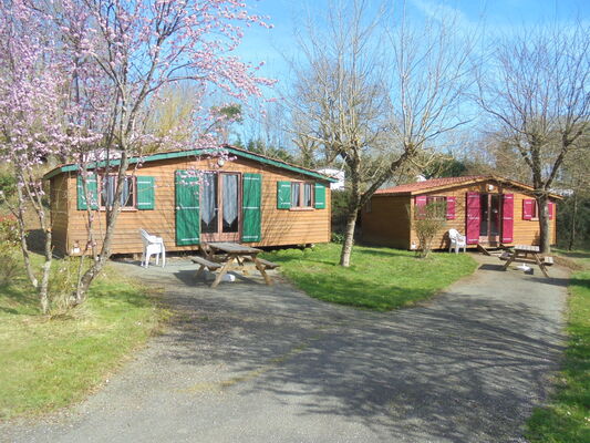 DSC03160 - Copie
