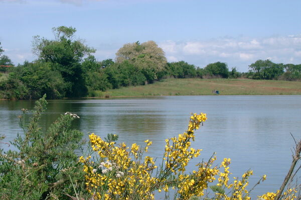 EtangFleurJeunet