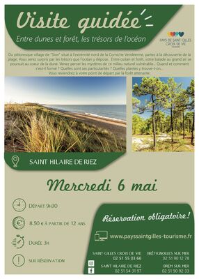 ENTRE DUNES ET FORET_6 mai-ST HILAIRE DE RIEZ