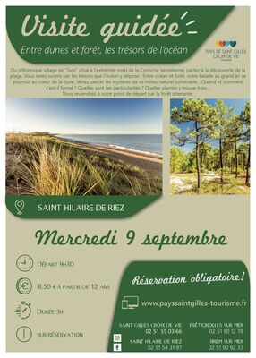ENTRE DUNES ET FORET_9 septembre-ST HILAIRE DE RIEZ