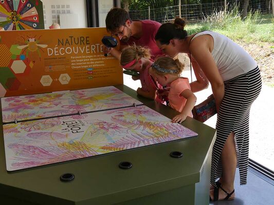 Folie_Finfarine_famille