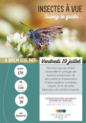 Insecte-BRM19juillet