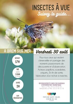 Insecte-BRM30aout