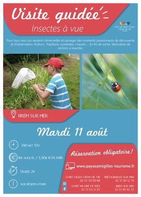 Modèle_affiche_VG2020