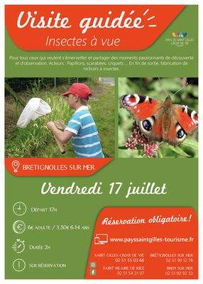 Modèle_affiche_VG2020