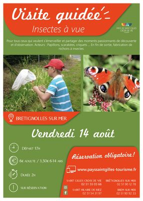 Modèle_affiche_VG2020