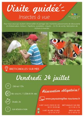 Modèle_affiche_VG2020