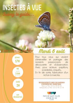 Insectes-a-vue-BRT6aout