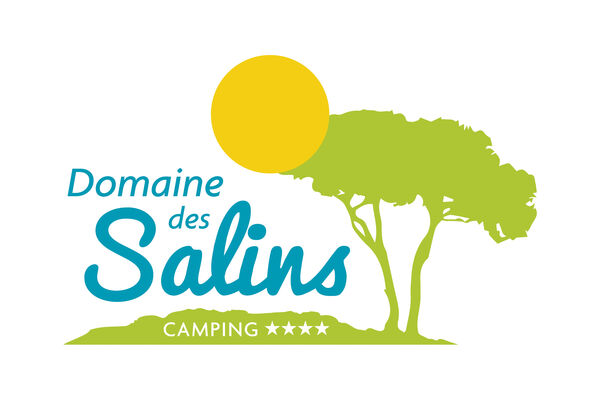 LOGO DOMAINE DES SALINS 4 etoiles