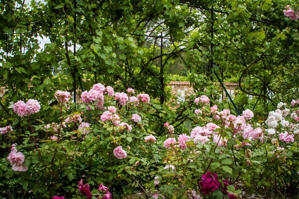 La Vendée des Jardins AJPV